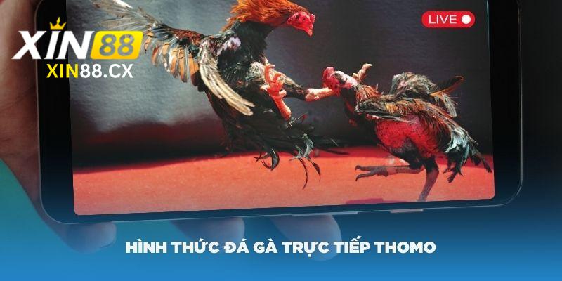 Ưu điểm đáng trải nghiệm