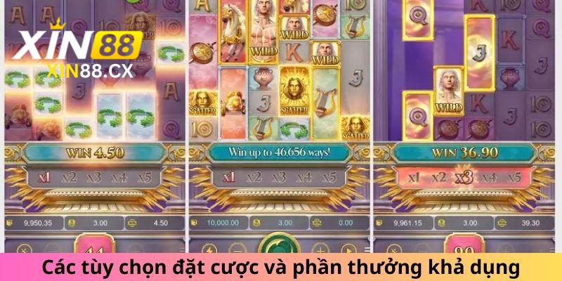 Các tùy chọn đặt cược và phần thưởng khả dụng